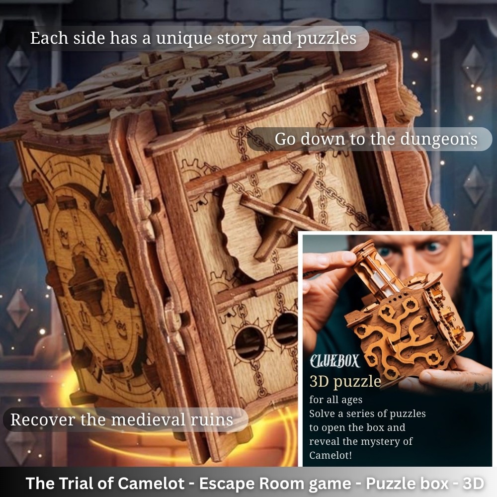 a unique 3d wooden puzzle box the mystery inside.